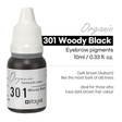 Stayve Organic Eyebrow Pigments 301 - Woody Black